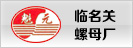 臨洺關(guān)螺母廠